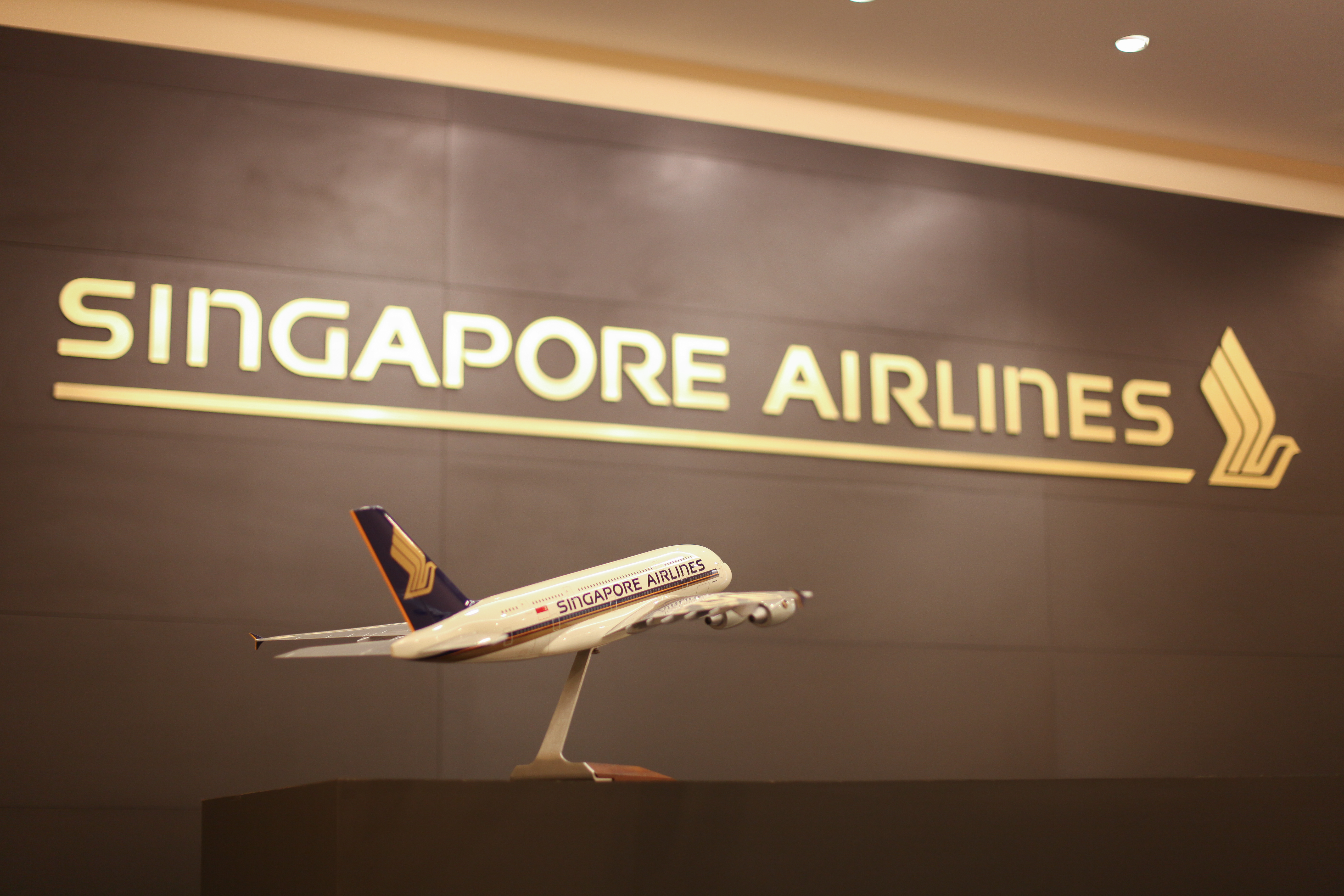 R-H-Singapore-Airlines-19